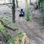 Quad driving through the forest